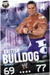 British Bulldog